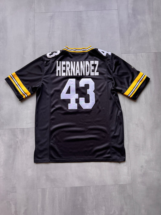 VINTAGE NFL PITTSBURGH STEELERS JERSEY - L